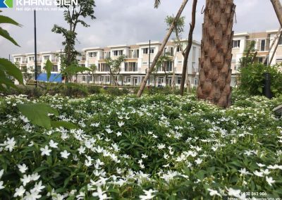 Mảng Xanh Khuôn Viên Khu Dân Cư Phong Phú 4